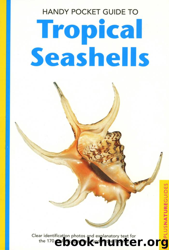 Handy Pocket Guide to Tropical Seashells by Pauline Fiene-Severns